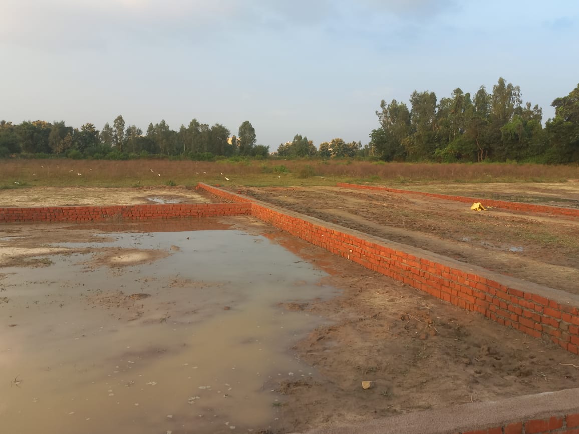 Freehold Plot in Pink City - Image 1